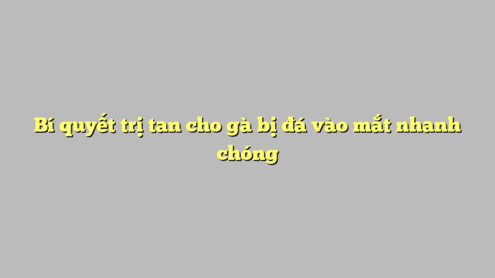 Bí quyết trị tan cho gà bị đá vào mắt nhanh chóng