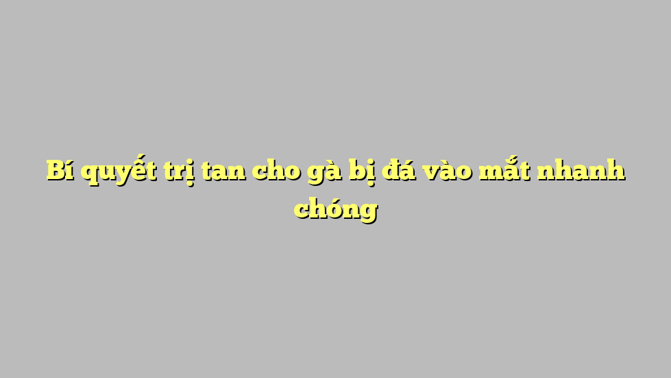 Bí quyết trị tan cho gà bị đá vào mắt nhanh chóng